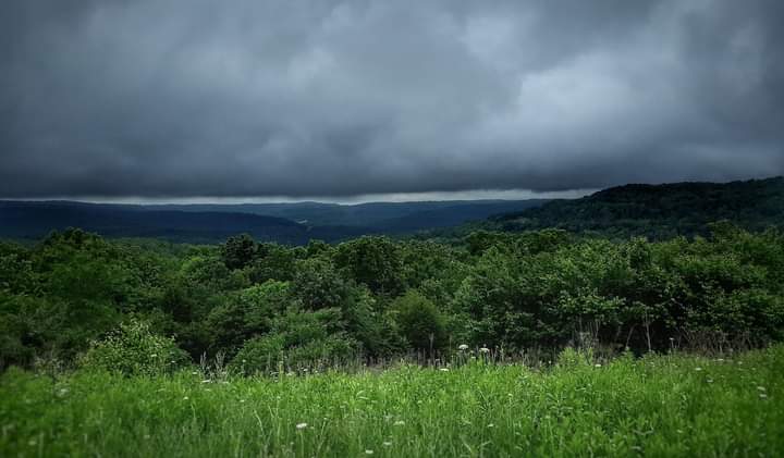Backwoods Beer/Goods exterior view showcasing professional Beer store services in Winslow, Arkansas