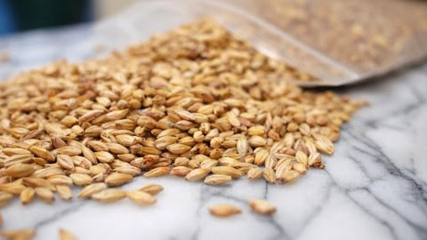 Bald Brewer Homebrewing and Winemaking supplies | Trusted Brewing supply store in Longmont, Colorado Bald Brewer Homebrewing and Winemaking supplies