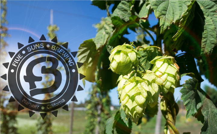 Five Suns Brewing exterior view showcasing professional Brewery services in Martinez, California