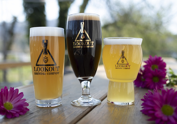 Lookout Brewing Company exterior view showcasing professional Brewery services in Black Mountain, North Carolina