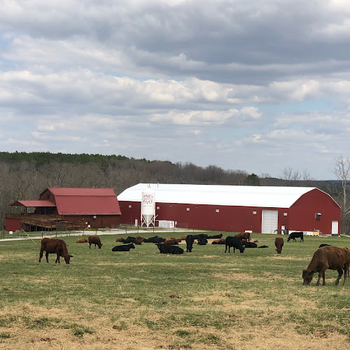Piney River Brewing Company exterior view showcasing professional Brewery services in Bucyrus, Missouri