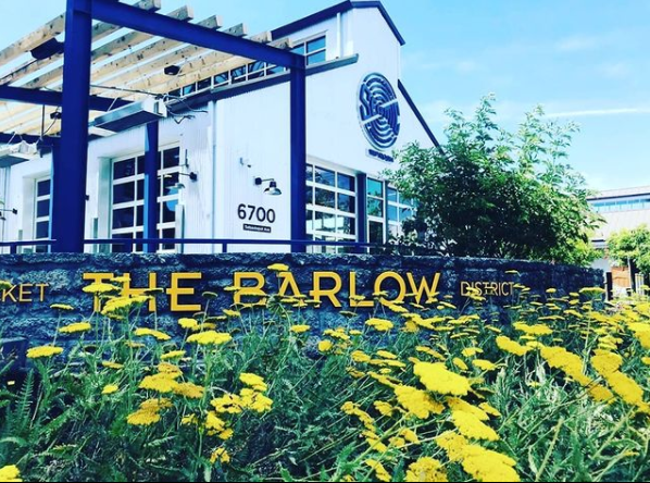 Seismic Brewing Taproom exterior view showcasing professional Brewery services in Sebastopol, California
