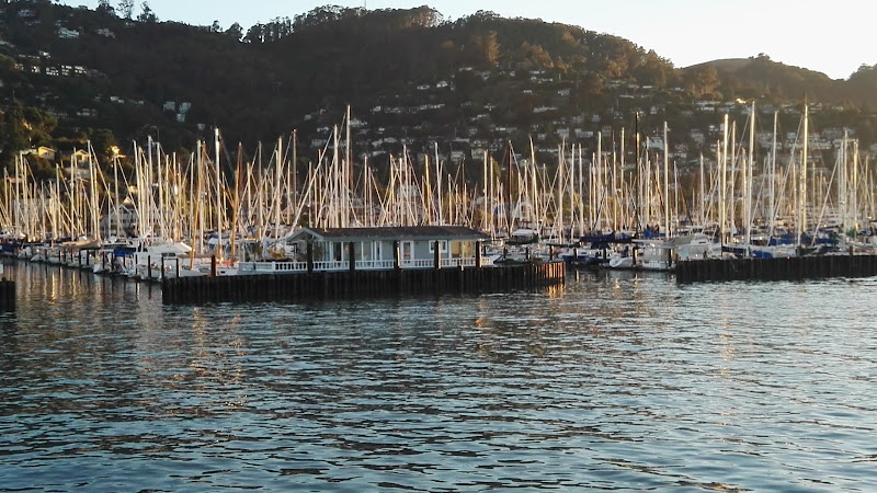 Stavin Inc exterior view showcasing professional Brewing supply store services in Sausalito, California